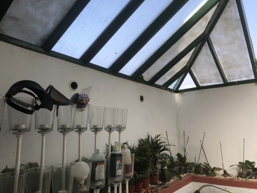 Tenerife localizaciones rodajes cine tv foto invernadero cristal vidrio techo plantas flores orquídeas
