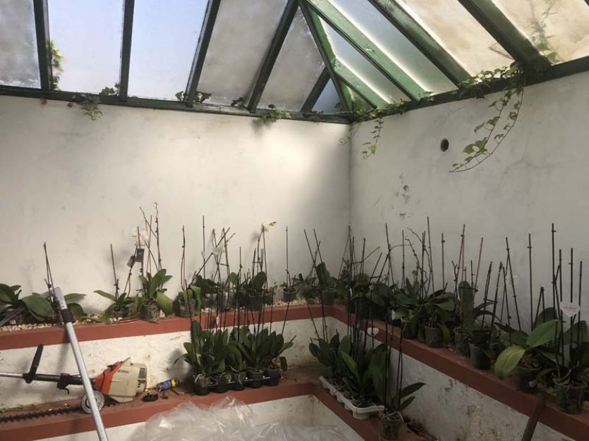 Tenerife localizaciones rodajes cine tv foto invernadero cristal vidrio techo plantas flores orquídeas