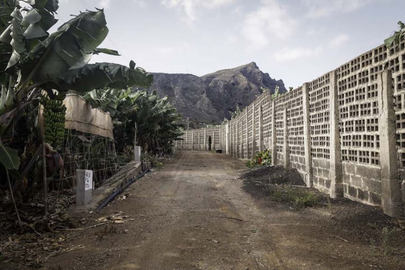 Tenerife localizaciones rodajes cine tv foto pista de tierra muros ladrillo finca platanera camino carretera 