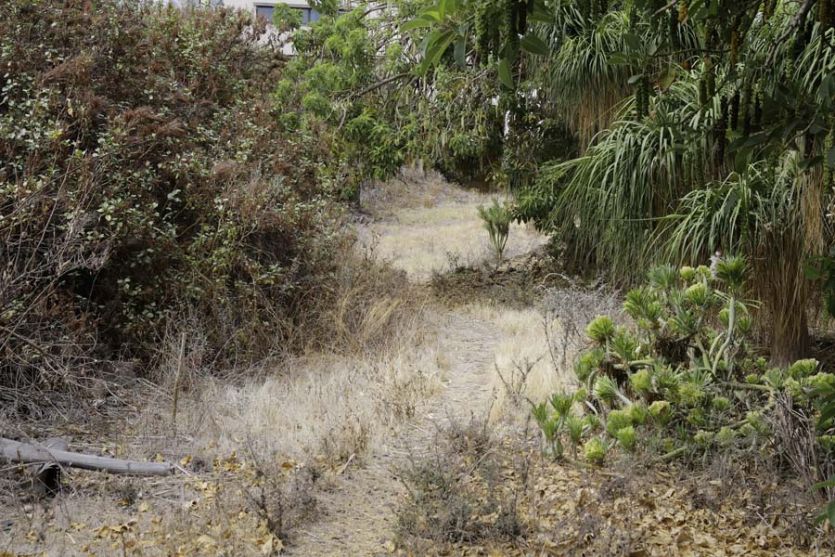 Tenerife localizaciones rodajes cine tv foto descuidado abandonado malas hierbas jardín árboles camino arbustos