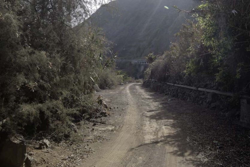 Tenerife localizaciones rodajes cine tv foto pista de tierra vegetación plantas montañas camino