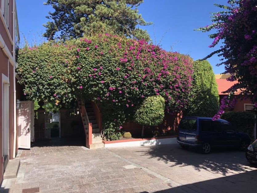 Tenerife localizaciones rodajes cine tv foto buganvilla patio plantas flores escaleras exteriores