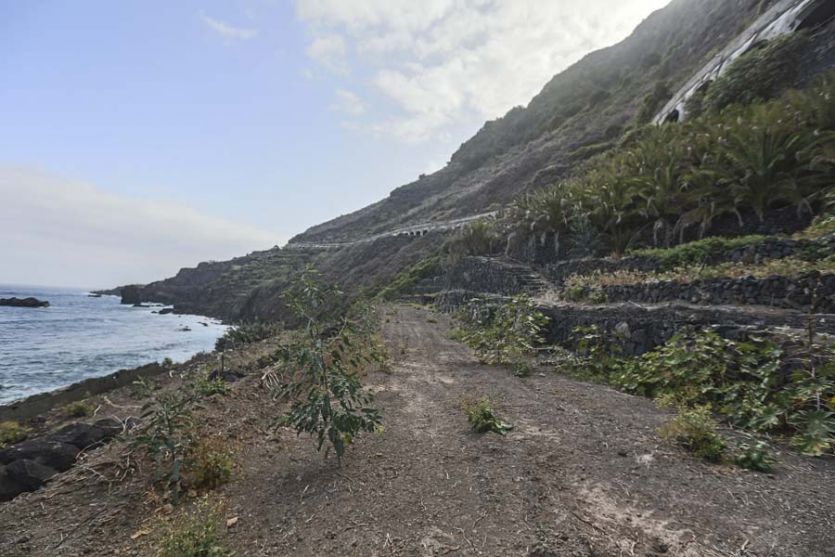 Tenerife localizaciones rodajes cine tv foto pista de tierra mar litoral costa callaos camino palmeras rocoso piedra muros 
