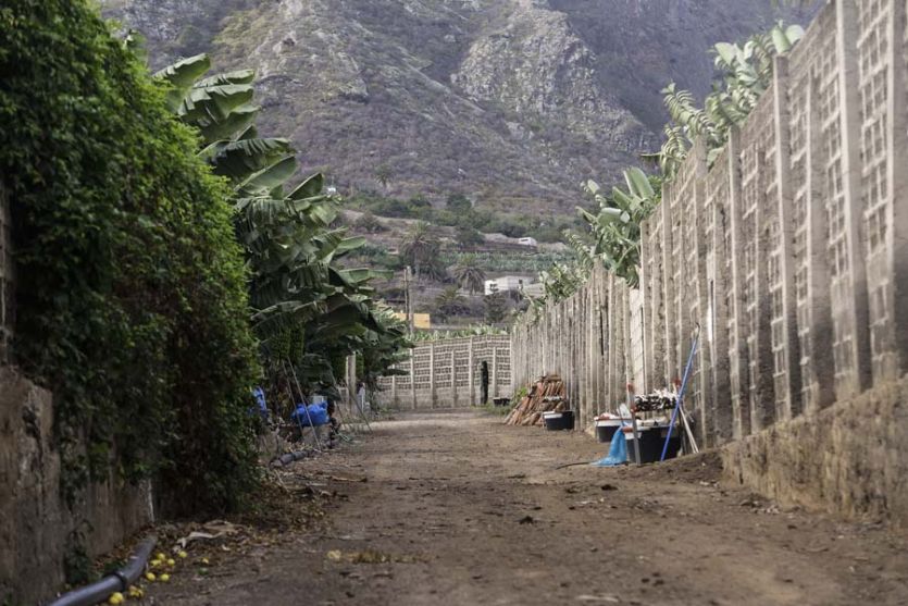 Tenerife localizaciones rodajes cine tv foto pista de tierra muros ladrillo finca platanera camino carretera